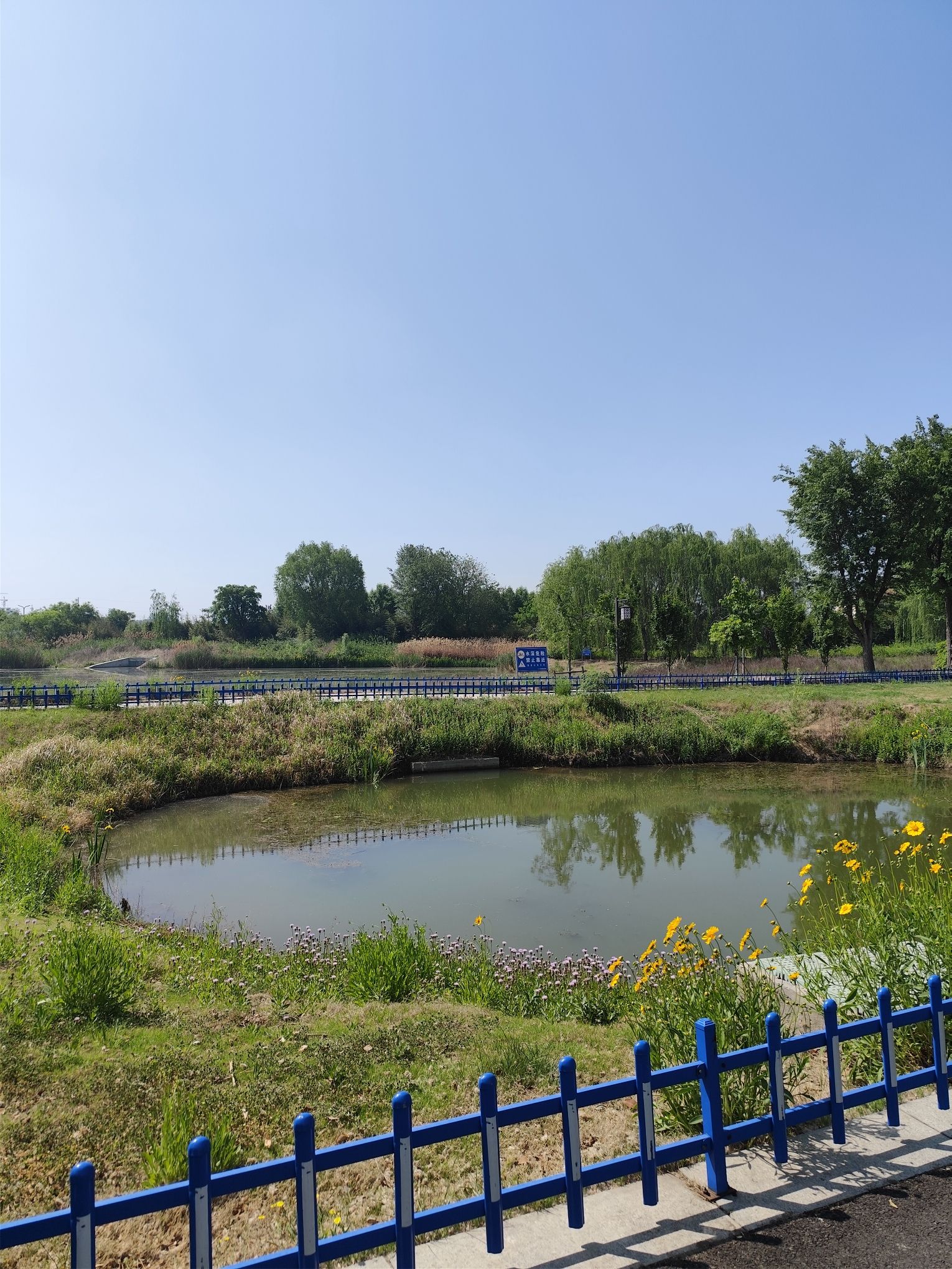 少康湖湿地公园旅行图片 3