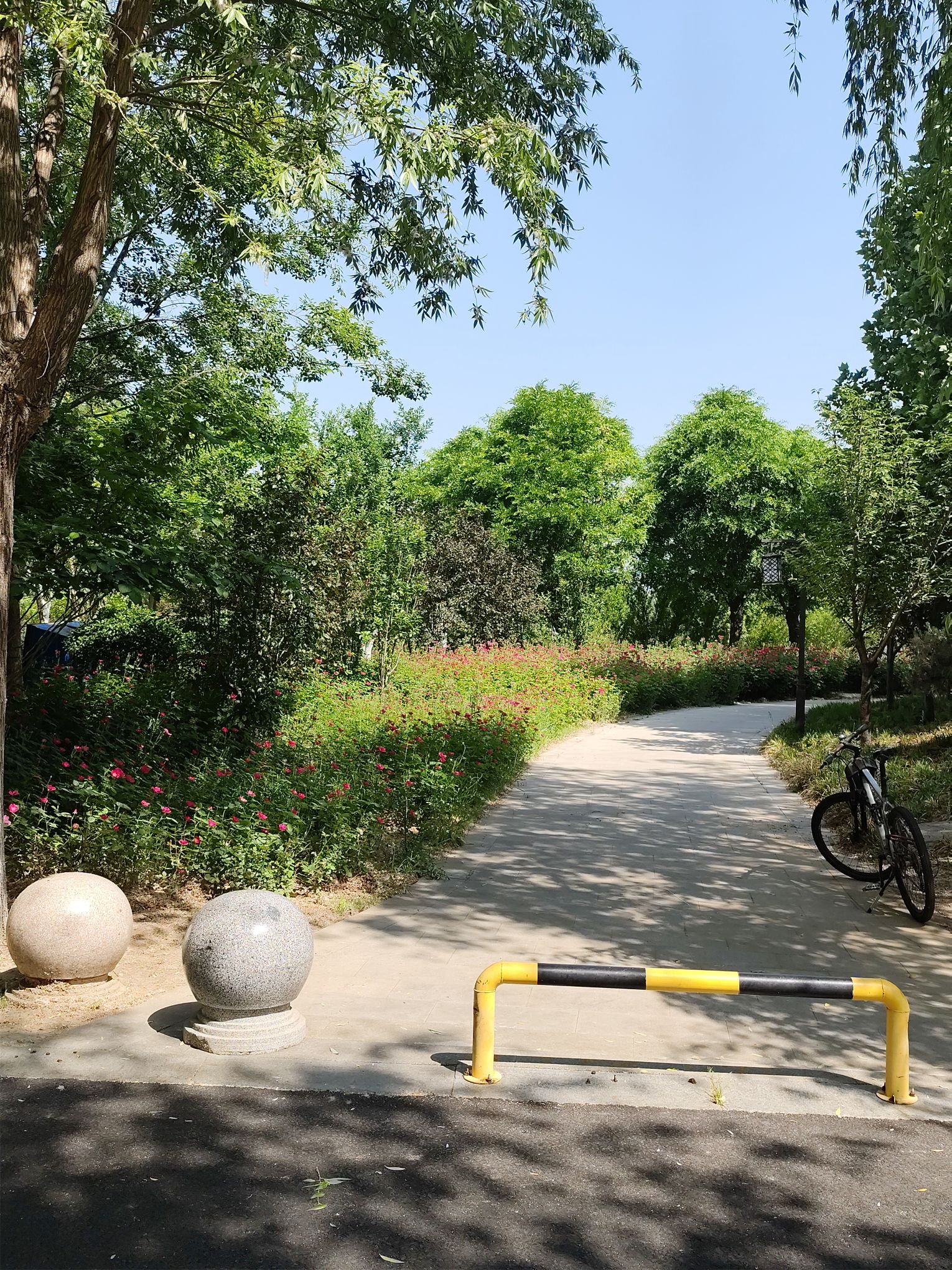 少康湖湿地公园旅行图片 2