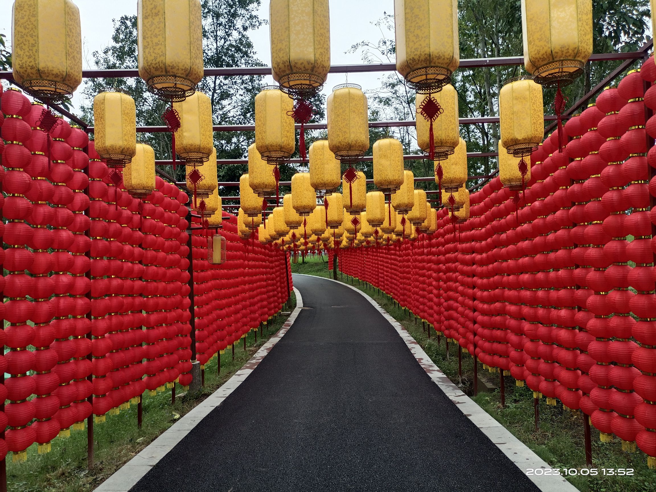 皇华岛国家湿地公园旅行图片 3