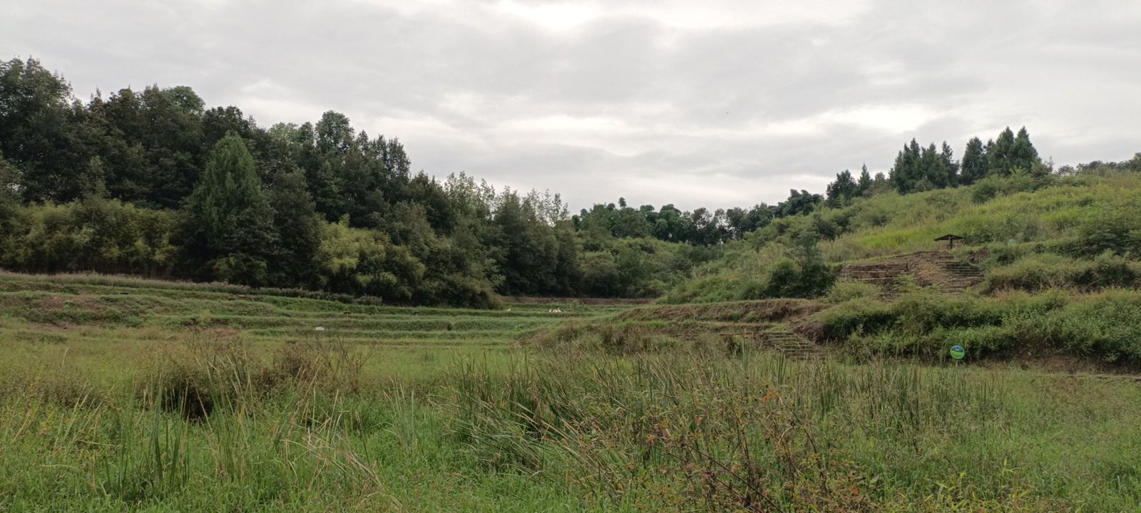 皇华岛国家湿地公园旅行图片 1