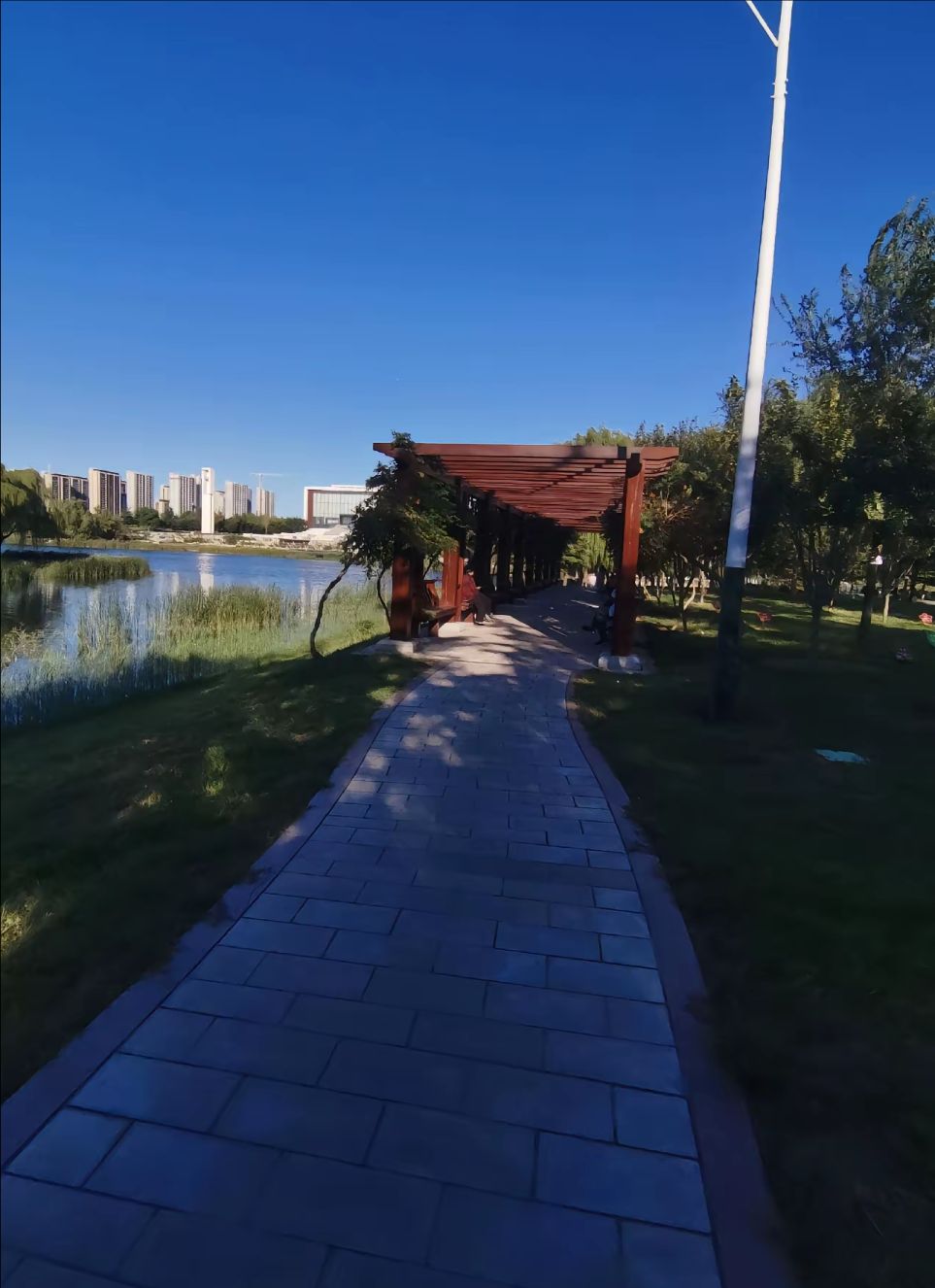 章华台公园旅行图片 2