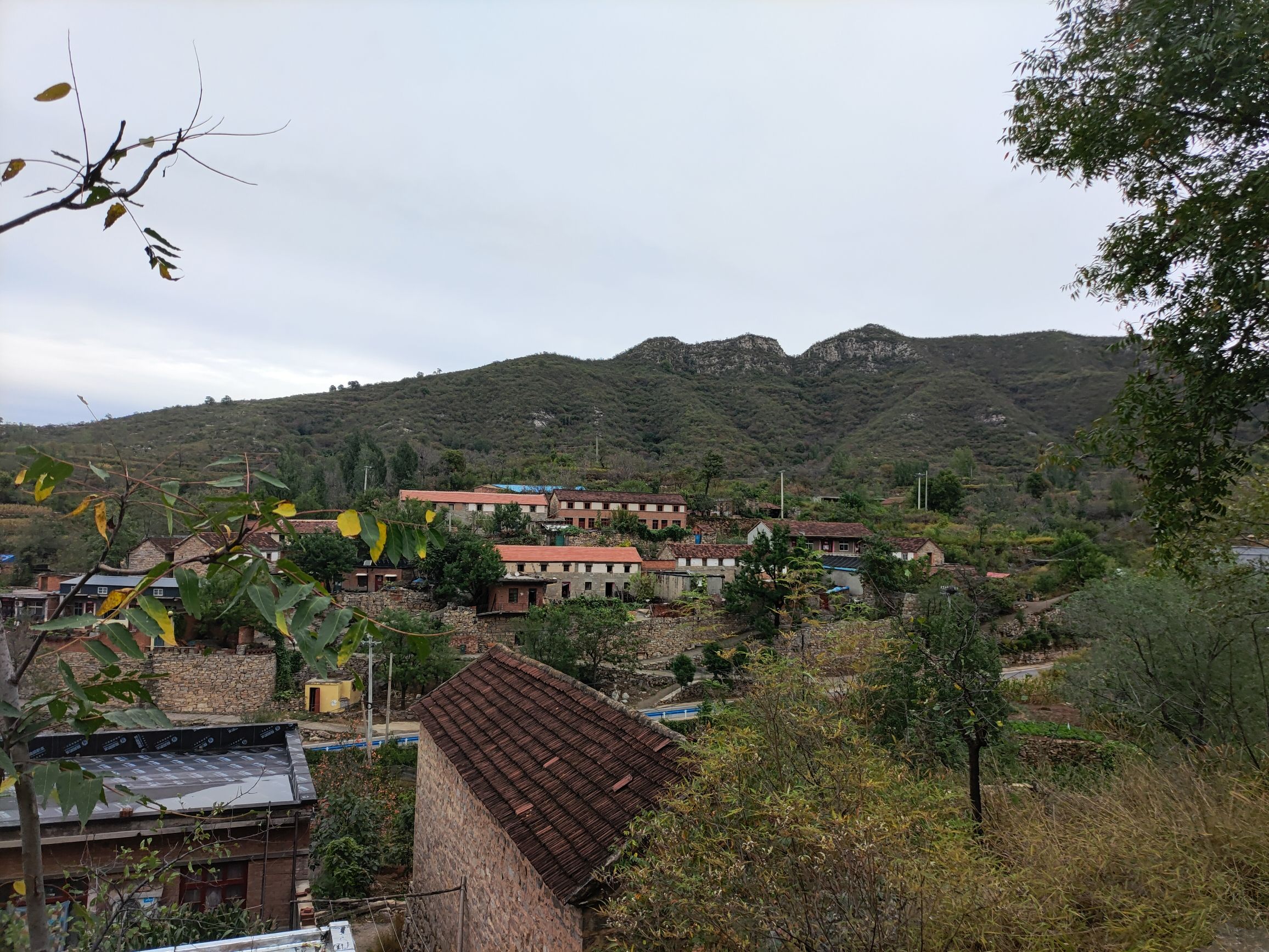 云端西顶旅行图片 2