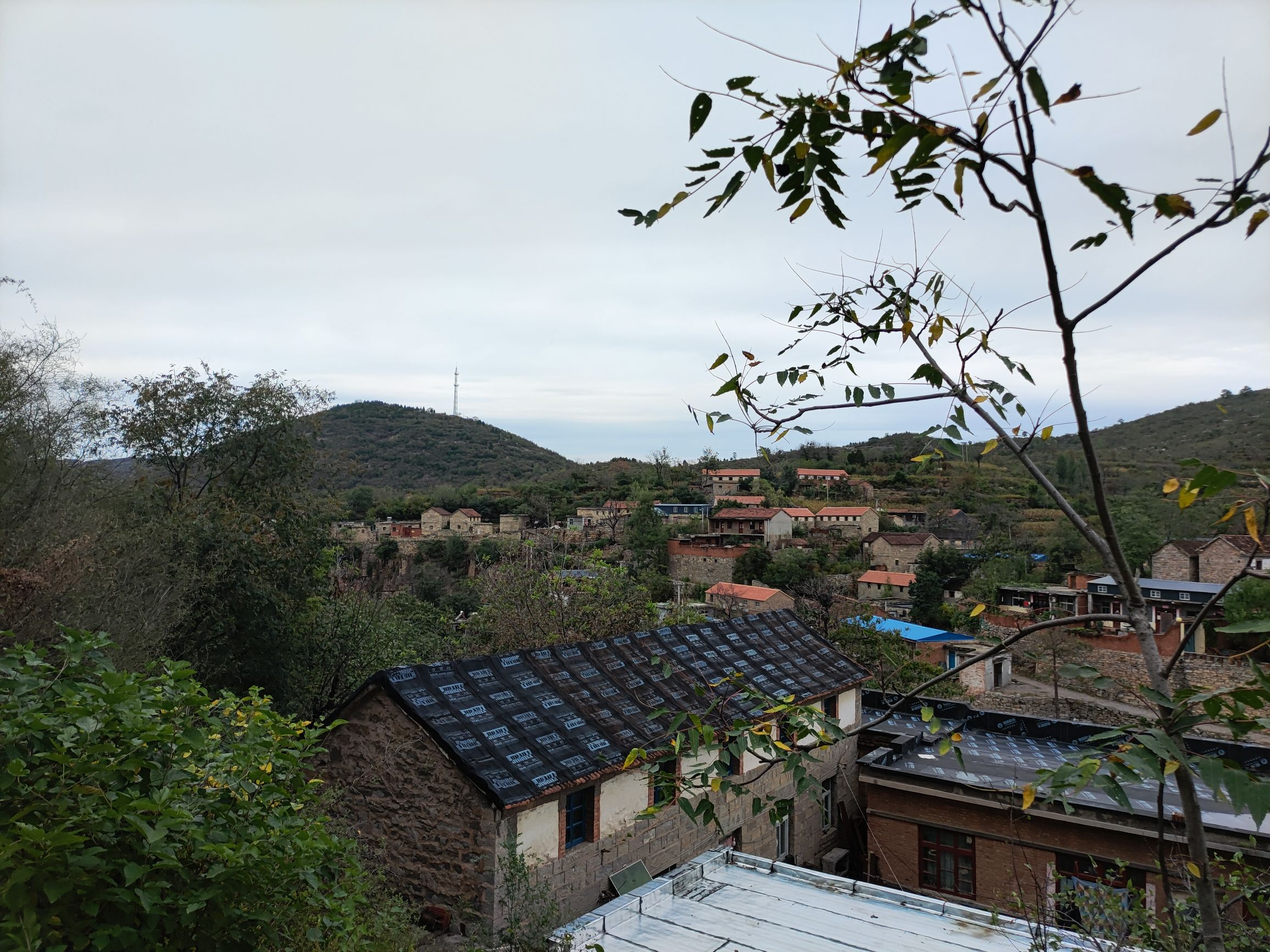 云端西顶旅行图片 3