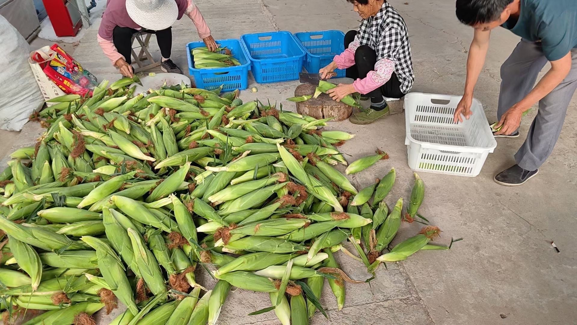 长兴县农民哥家庭农场