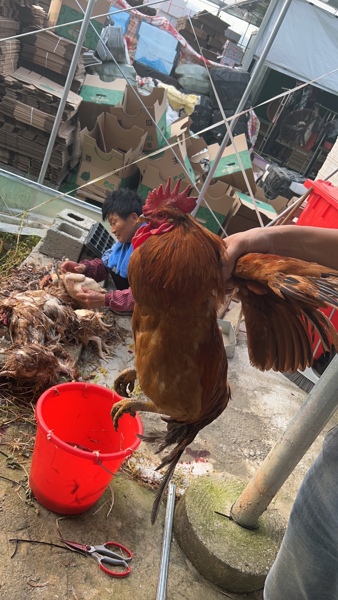 长兴县农民哥家庭农场