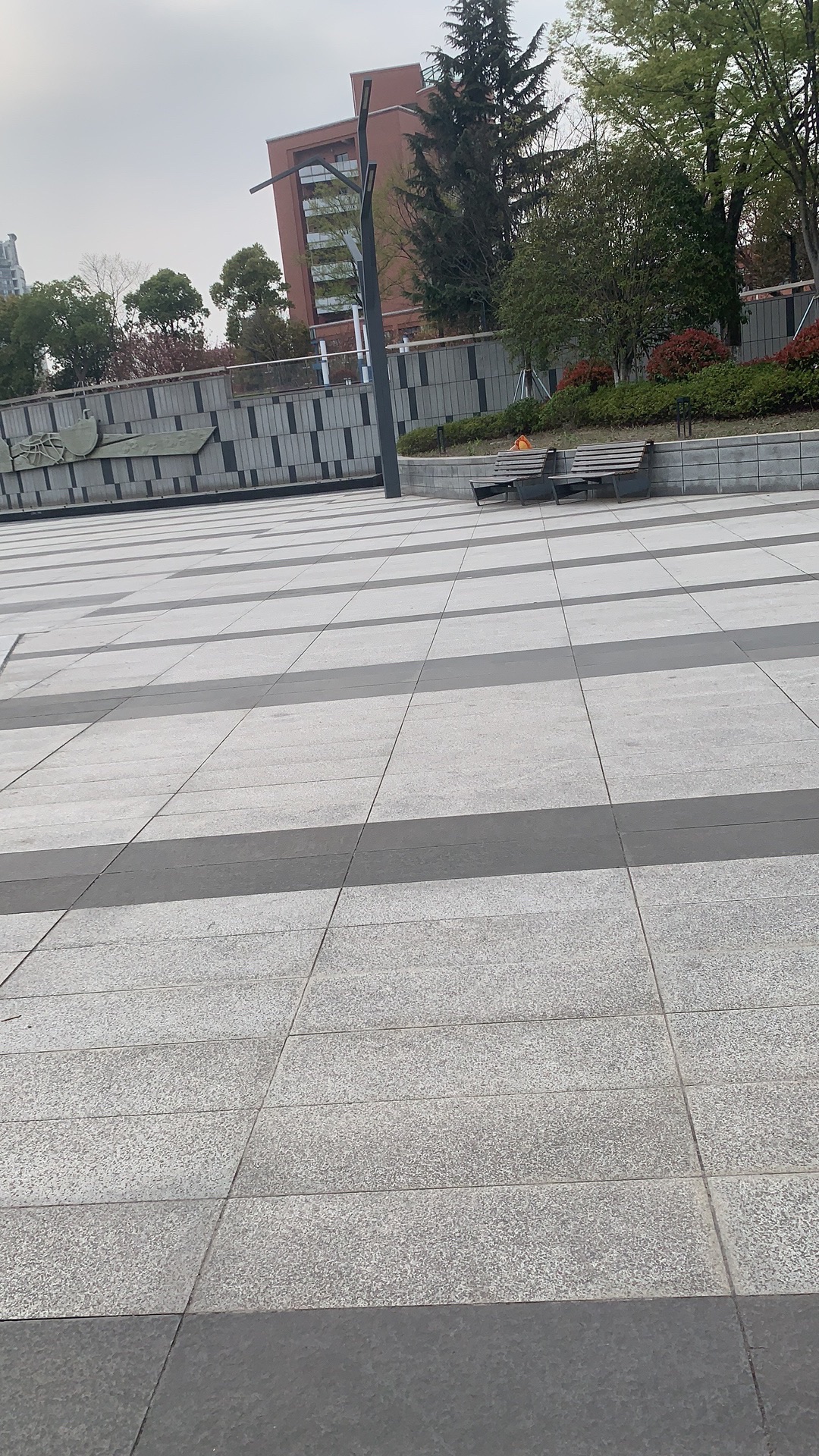 文泽广场旅行图片 2
