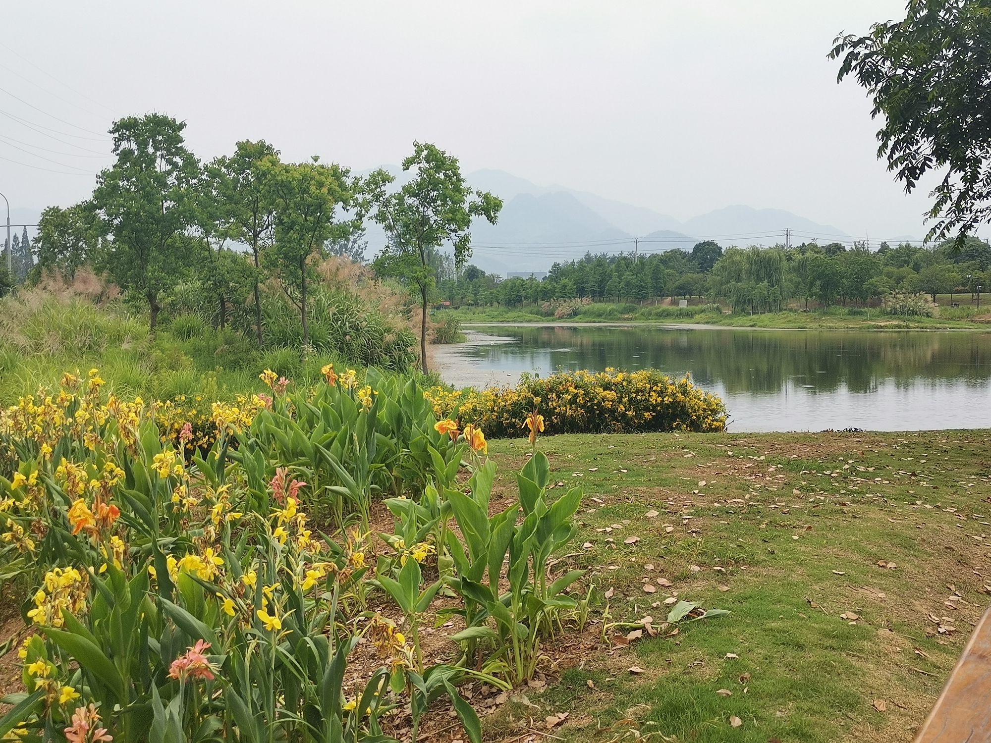 桐水湿地公园旅行图片 2
