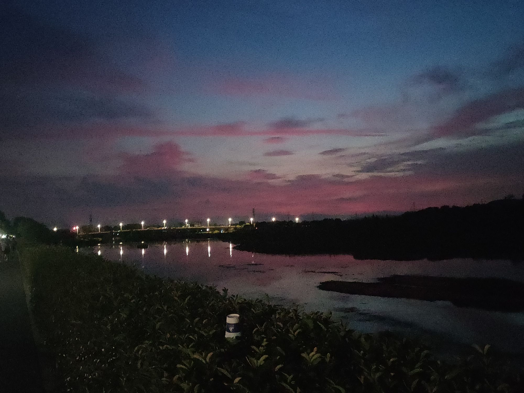 桐水湿地公园旅行图片 3