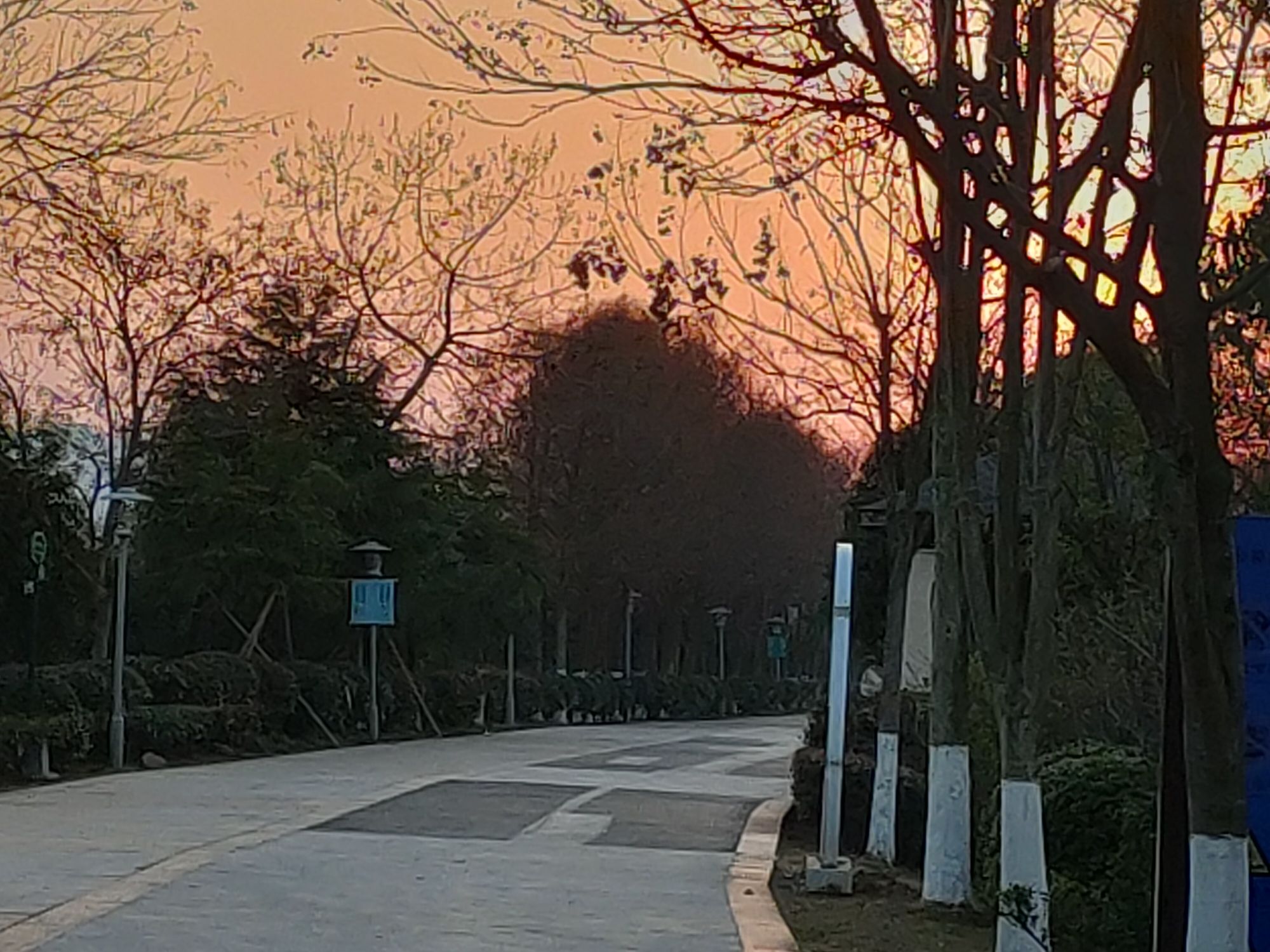 桐水湿地公园旅行图片 1