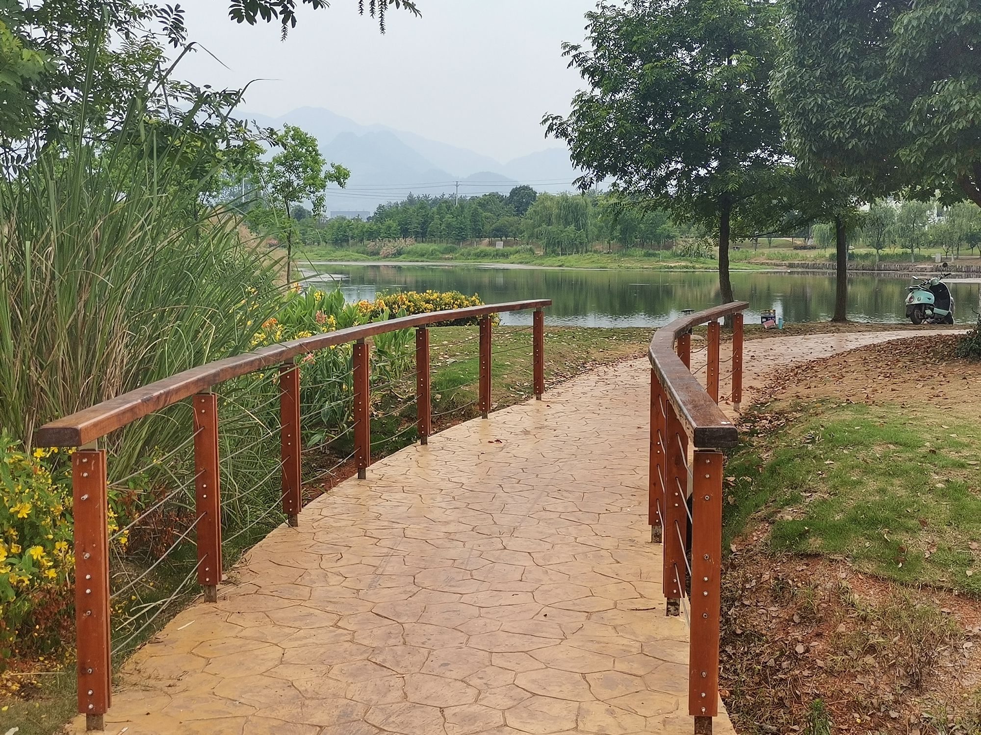 桐水湿地公园旅行图片 3