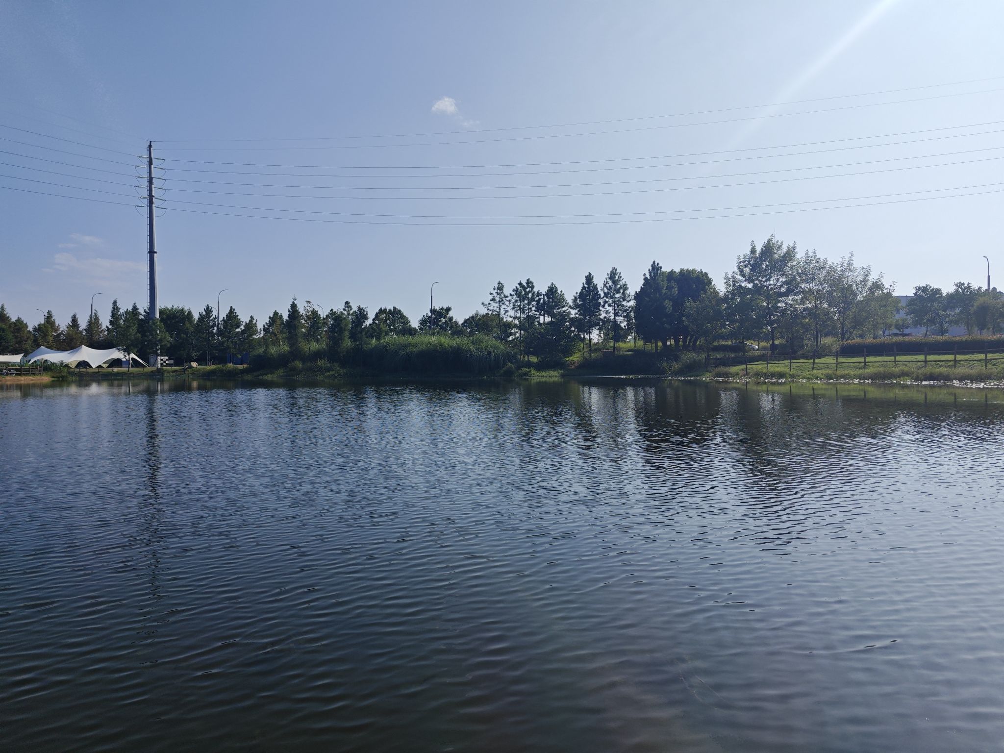 桐水湿地公园旅行图片 3