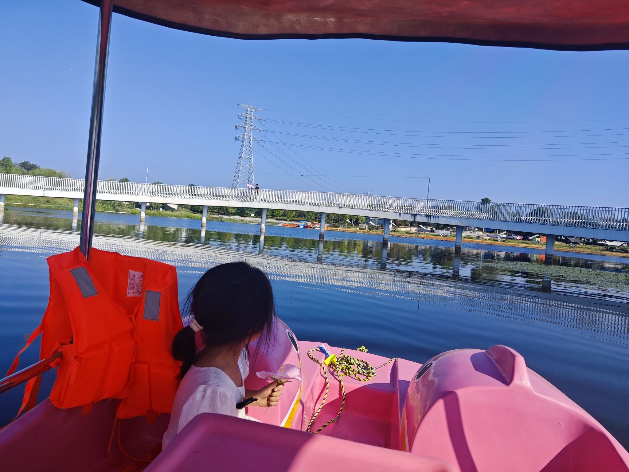 桐水湿地公园旅行图片 1
