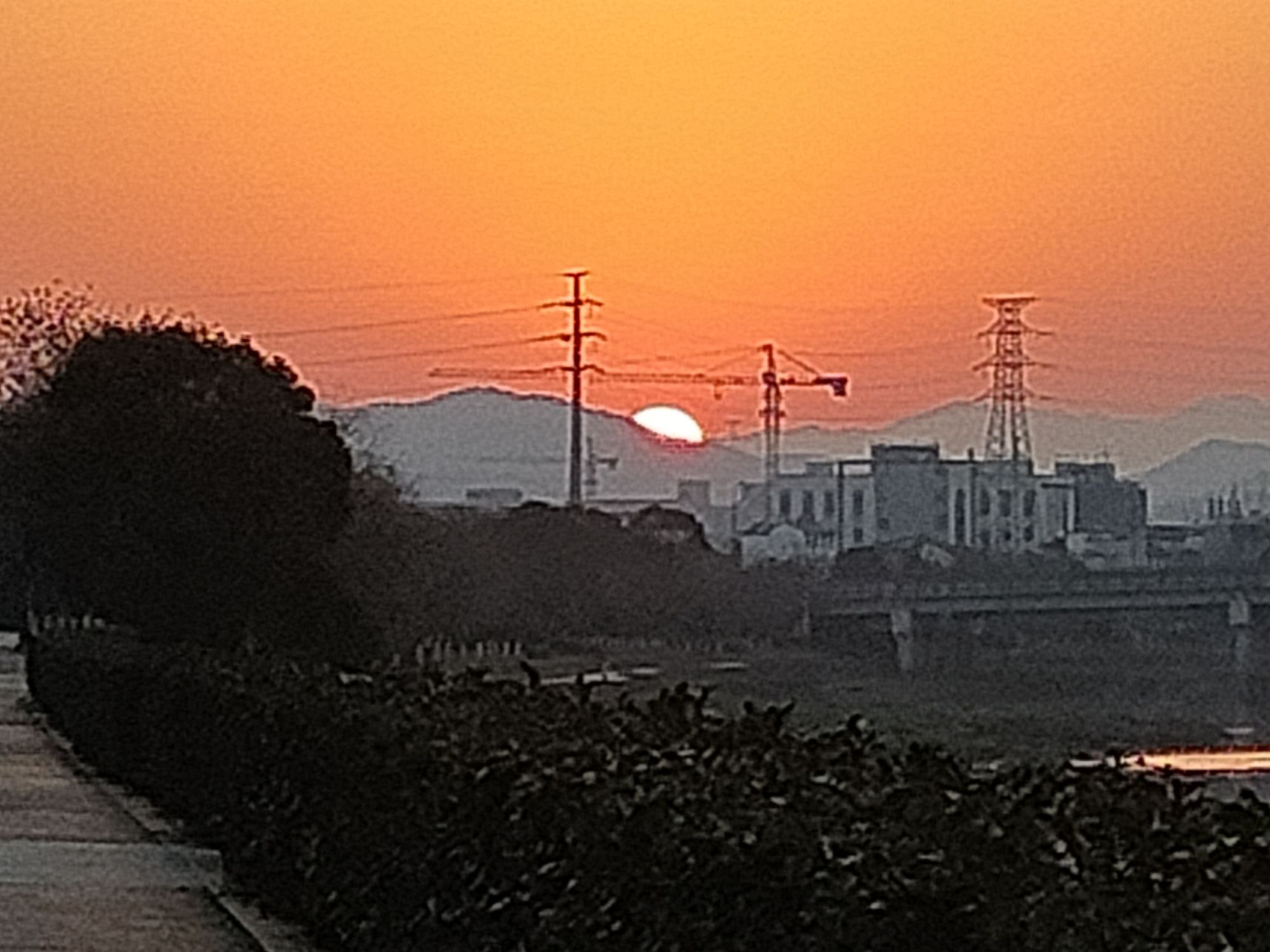桐水湿地公园旅行图片 2
