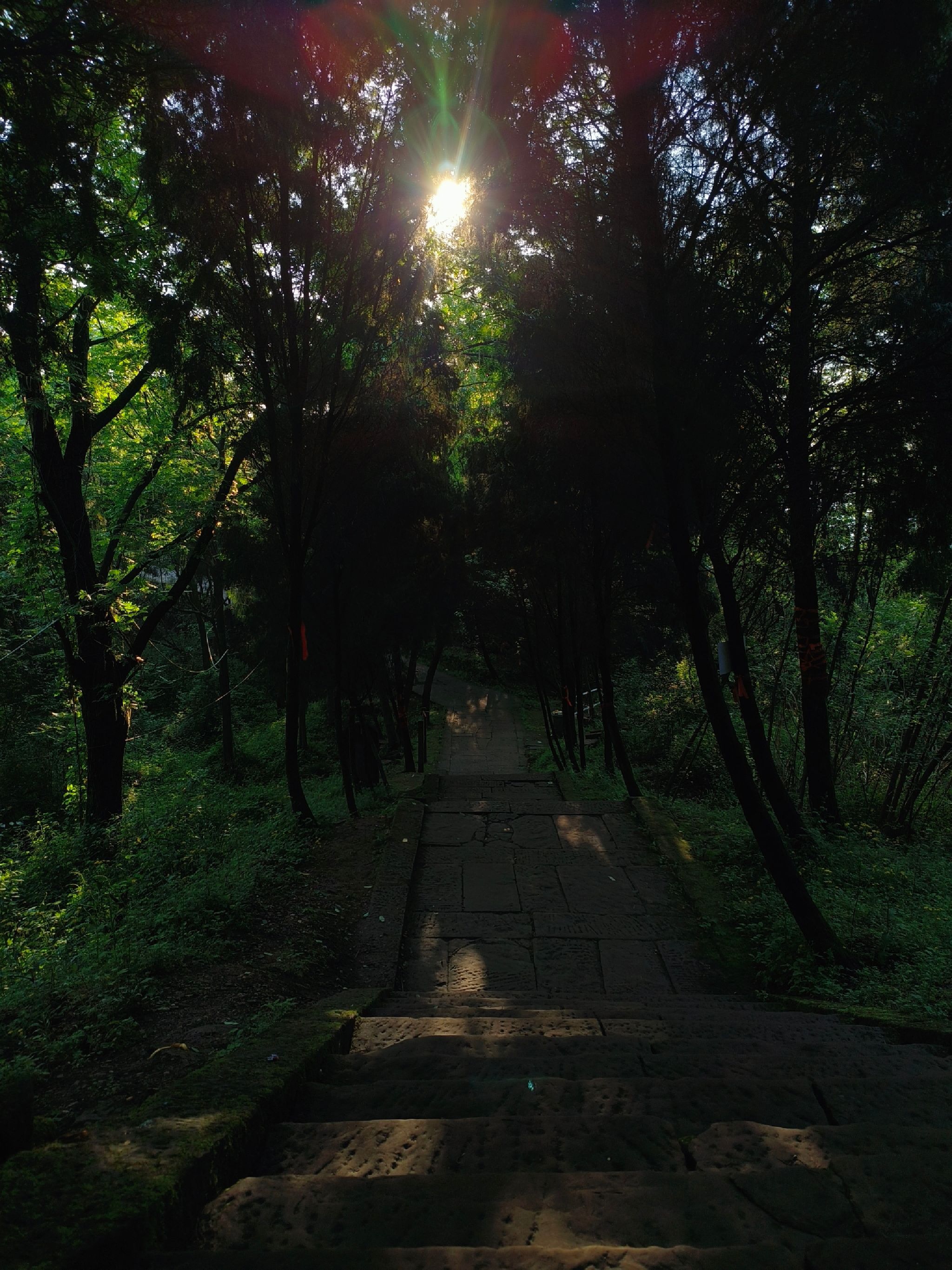 合川区龙多山太清宫旅行图片 2