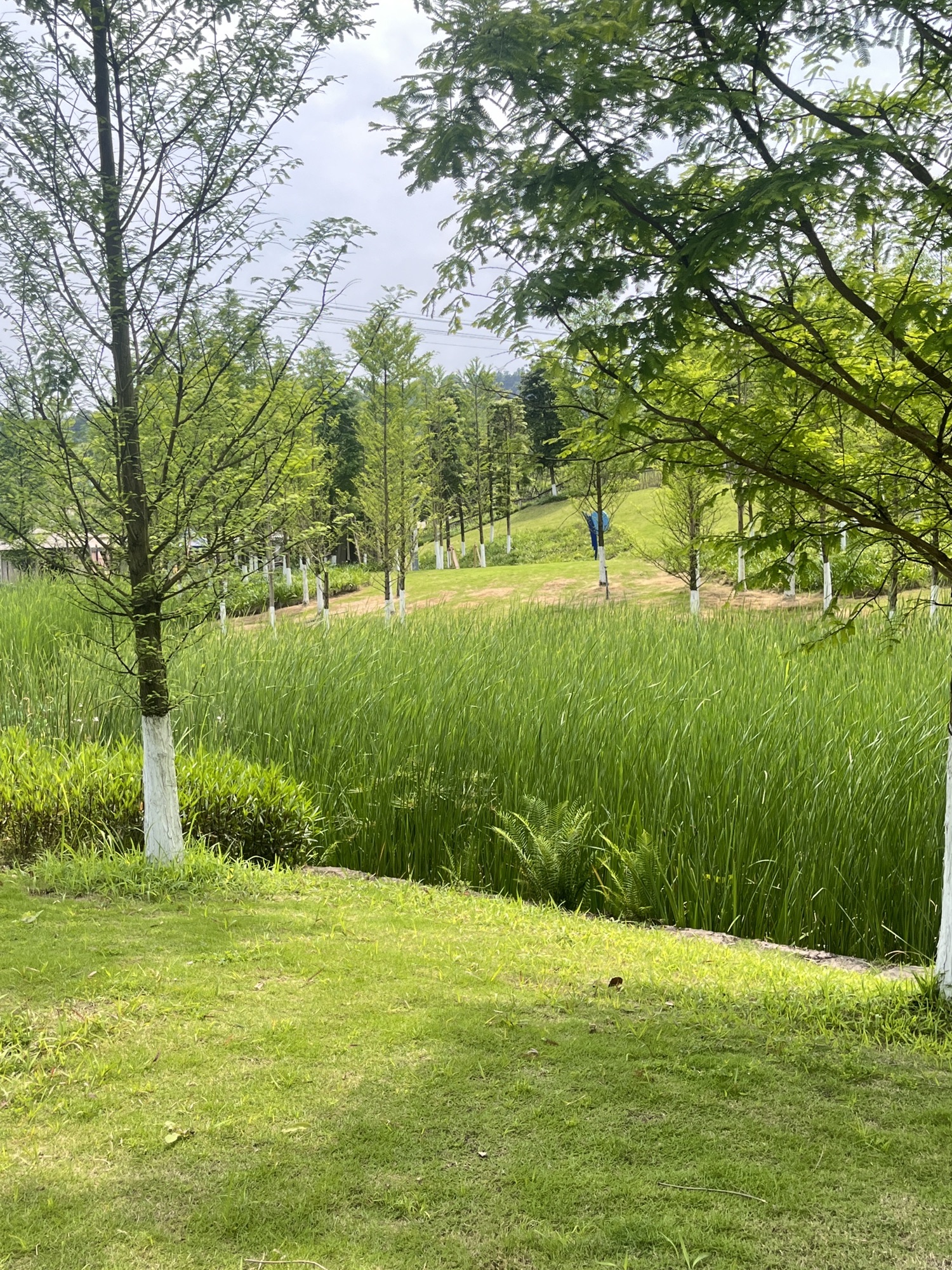 渔子溪湿地公园旅行图片 3