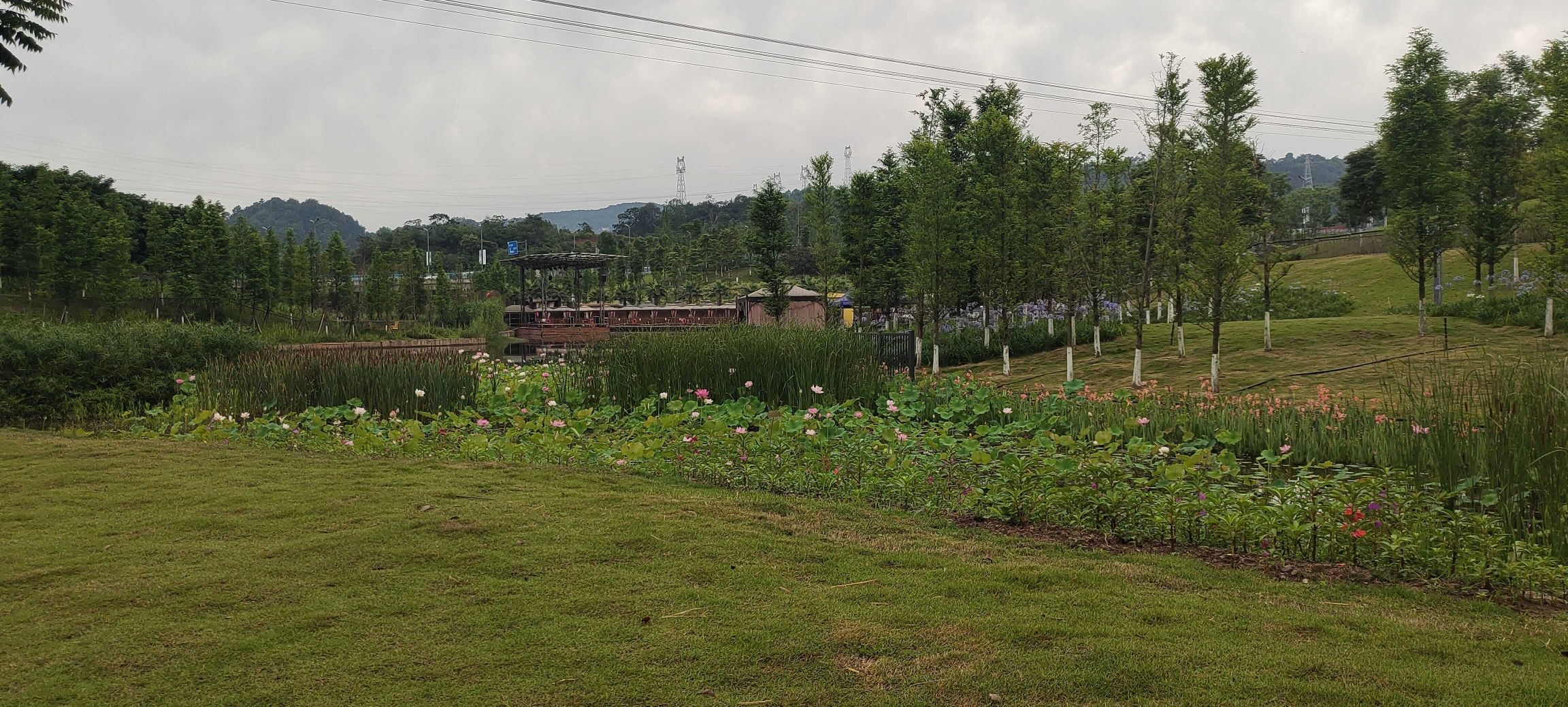 渔子溪湿地公园旅行图片 2