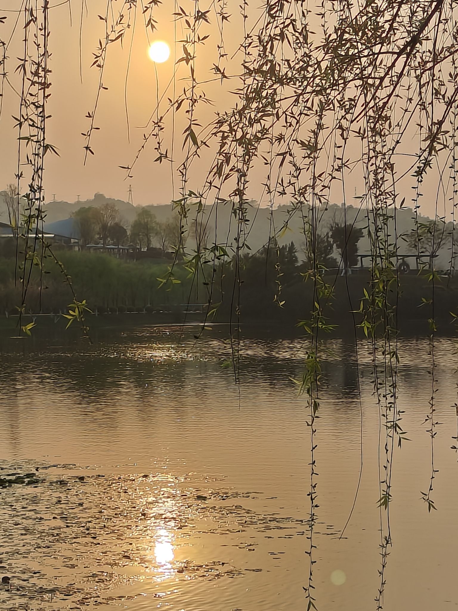 渔子溪湿地公园旅行图片 1