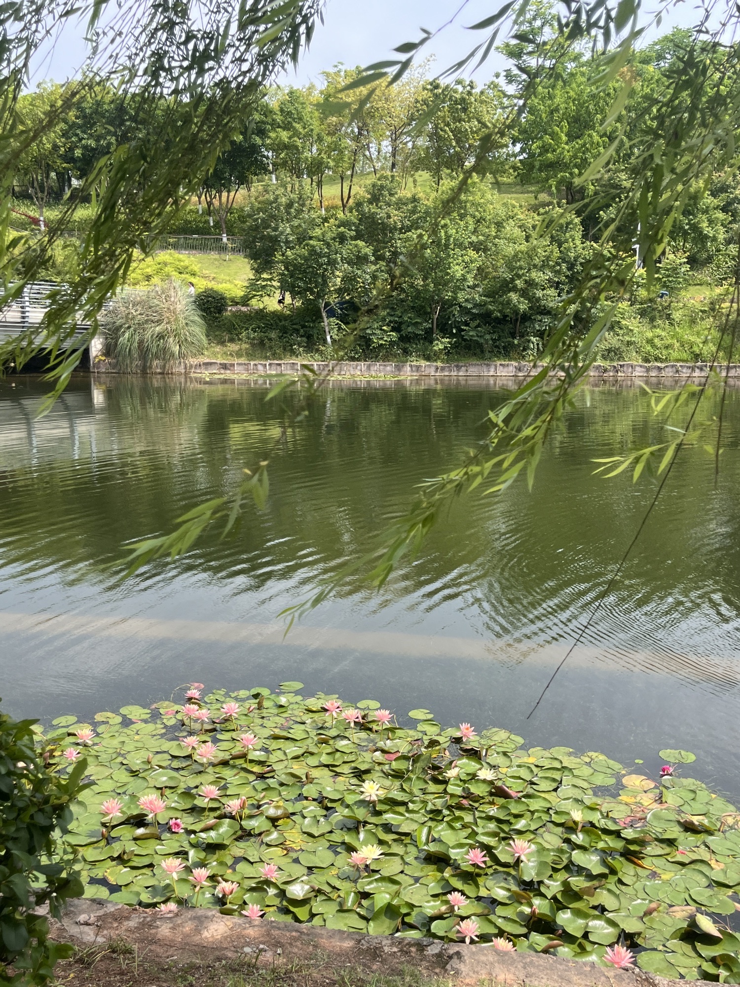 渔子溪湿地公园旅行图片 1