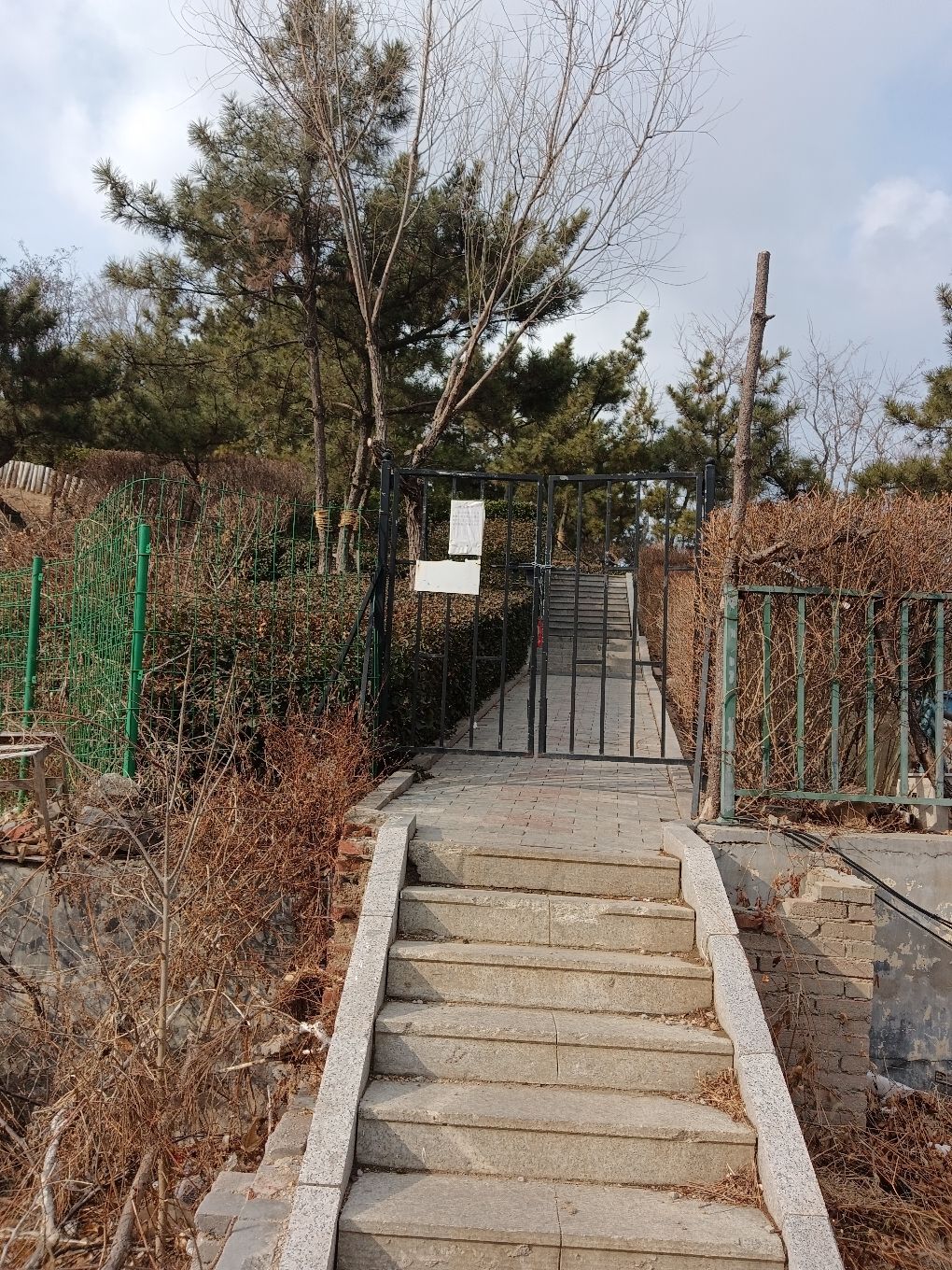 坊子街山公园旅行图片