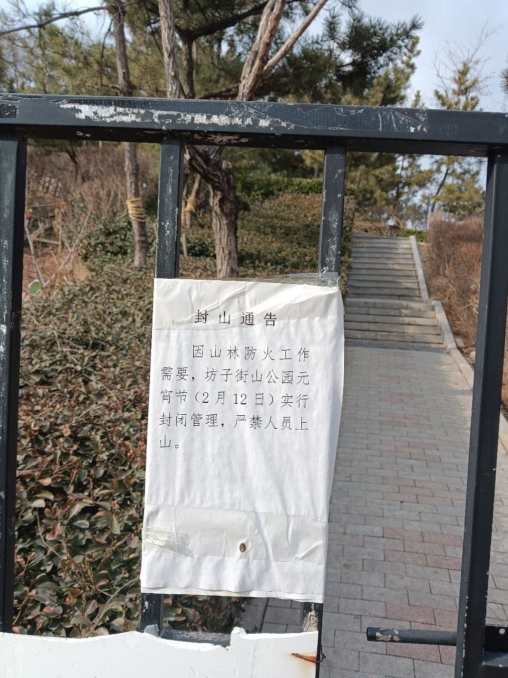 坊子街山公园旅行图片 2
