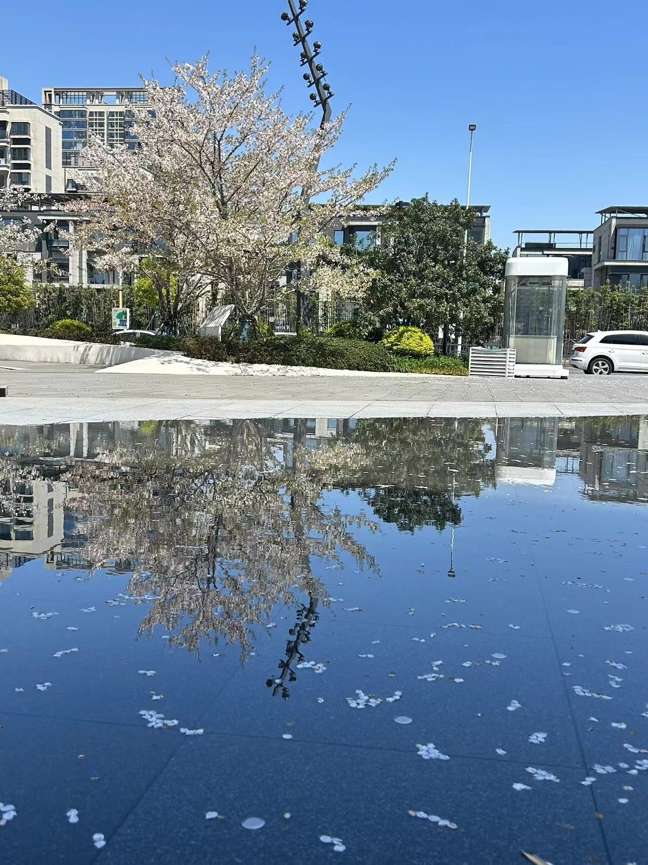 华侨城万科世纪水岸·鸟屿浮云塔旅行图片 1
