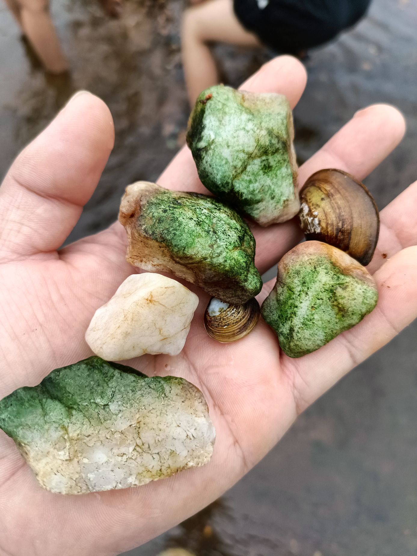 彩虹谷旅行图片 3