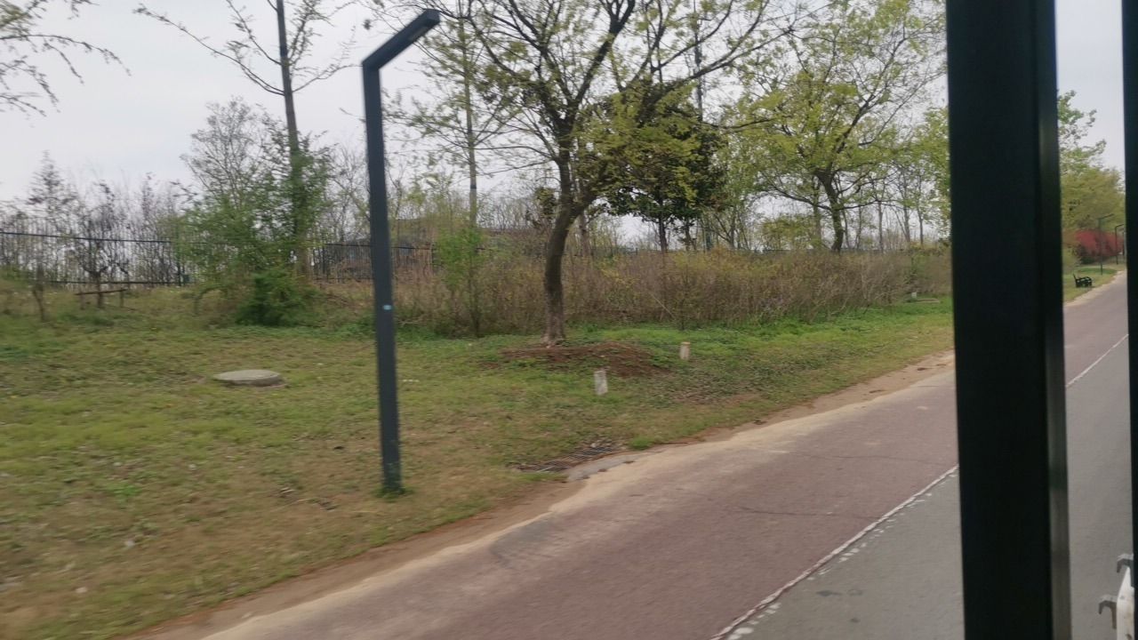 中华珍奇紫薇文化园-观景台