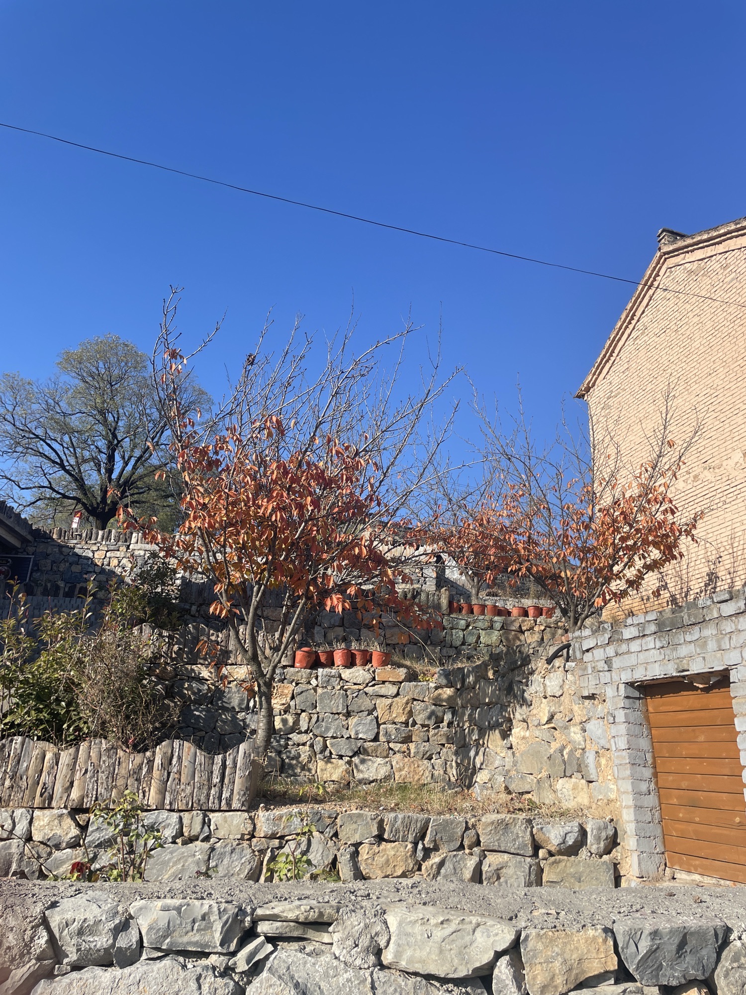 太行红叶风景区旅行图片 1