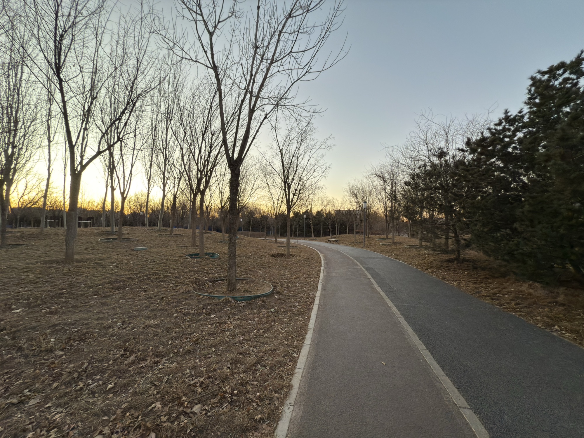 郑常庄公园旅行图片 1