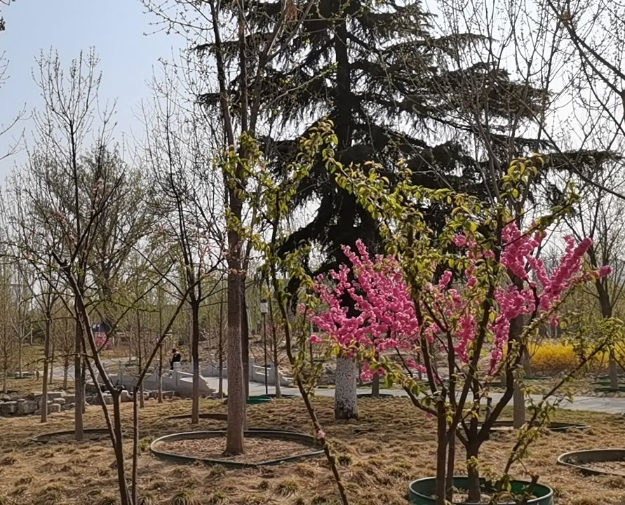 郑常庄公园旅行图片 2