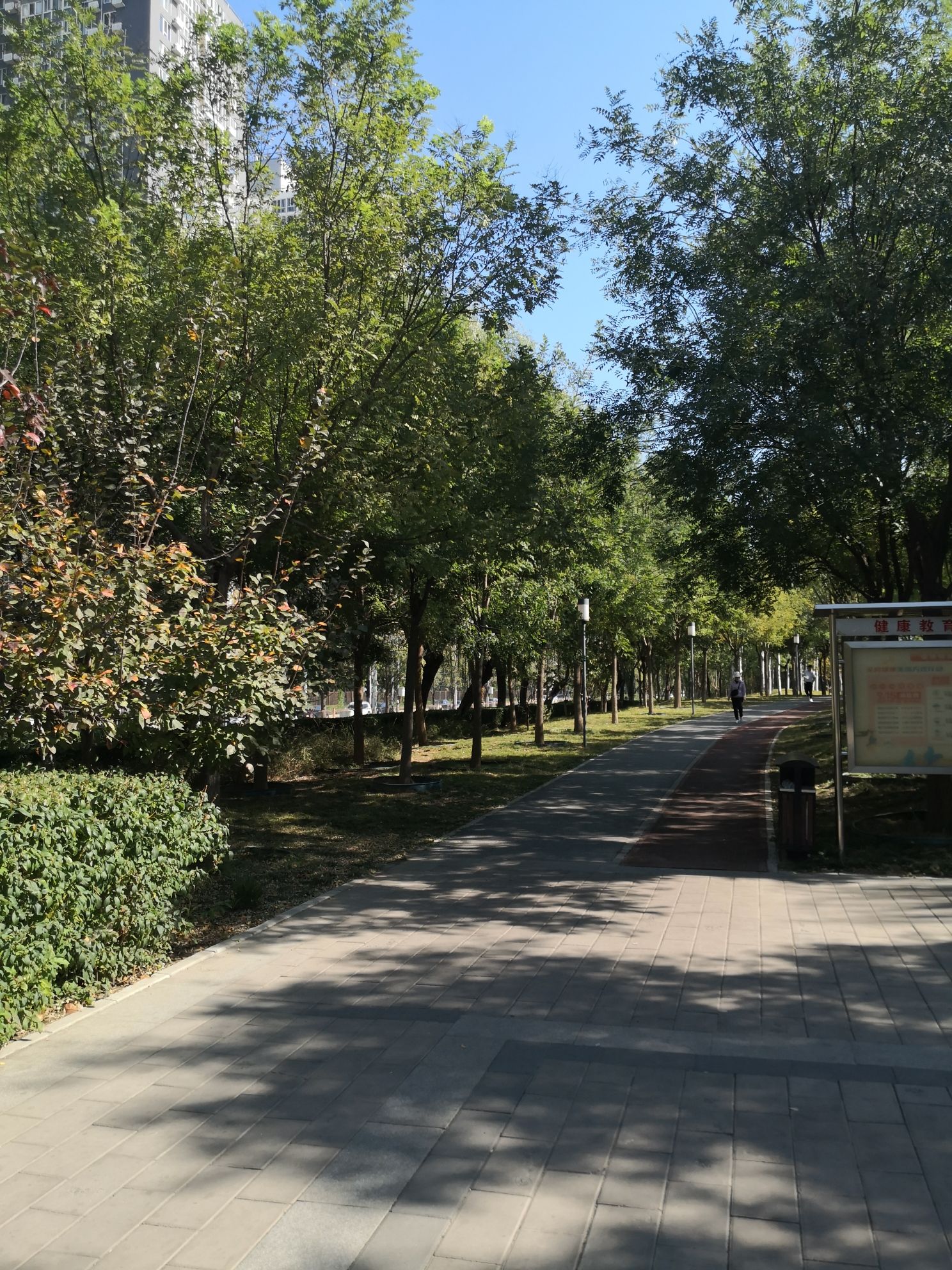 郑常庄公园旅行图片 3