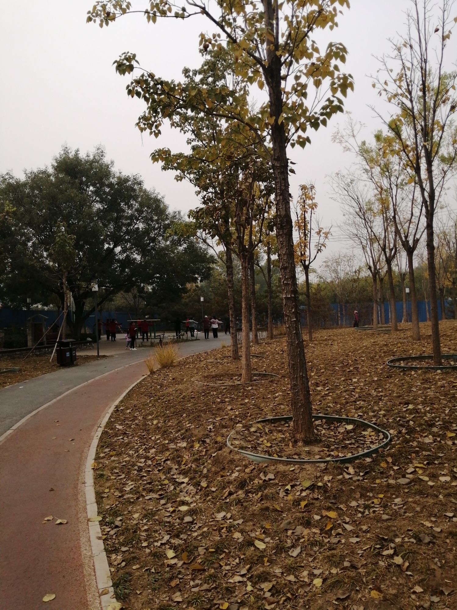 郑常庄公园旅行图片 3