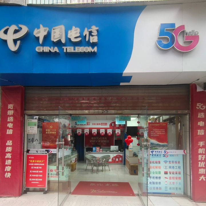 中国电信(坝中名园营业厅)