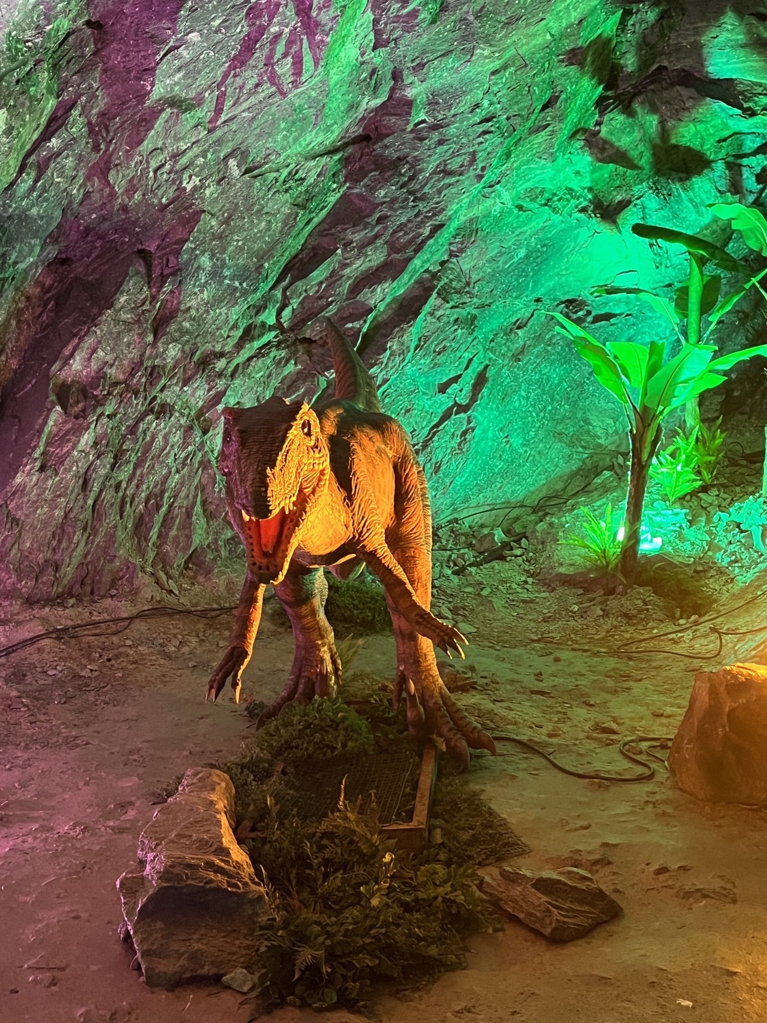 石洞酒海洞藏酒基地旅行图片 3