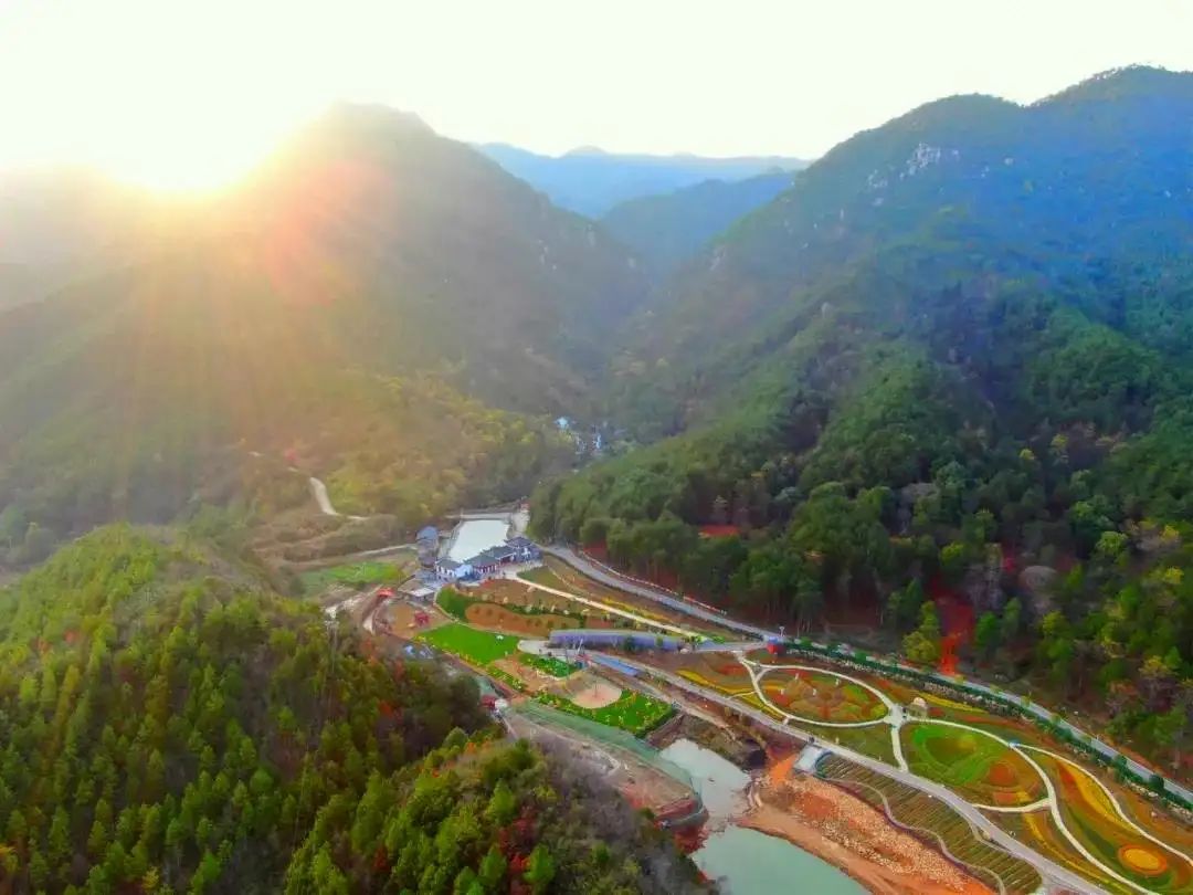 茶乡花海景区旅行图片 1