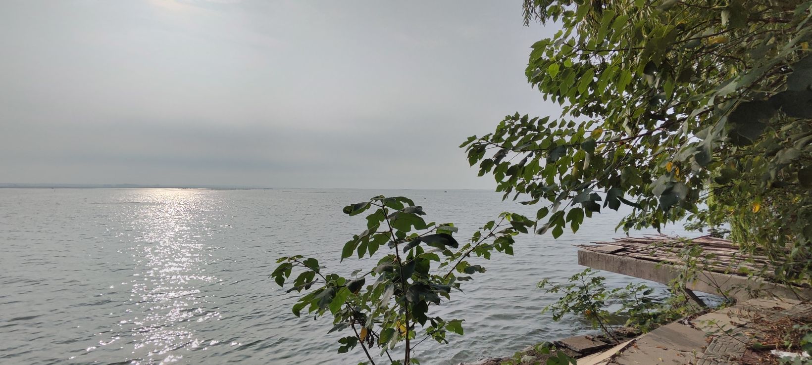 清华荷润湿地公园