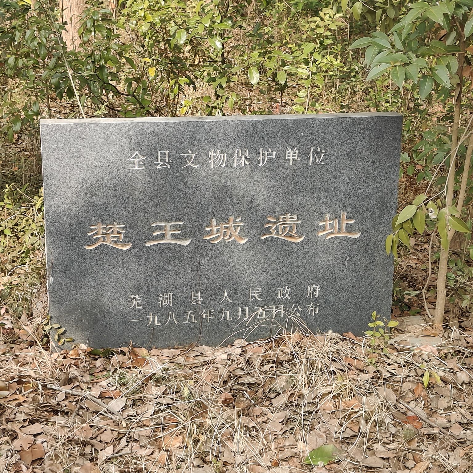楚王城遗址旅行图片 2