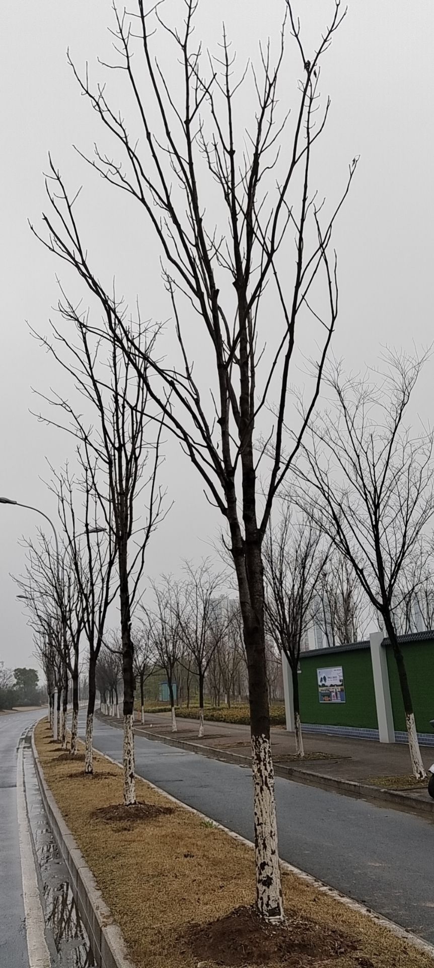 苏州公园旅行图片 1