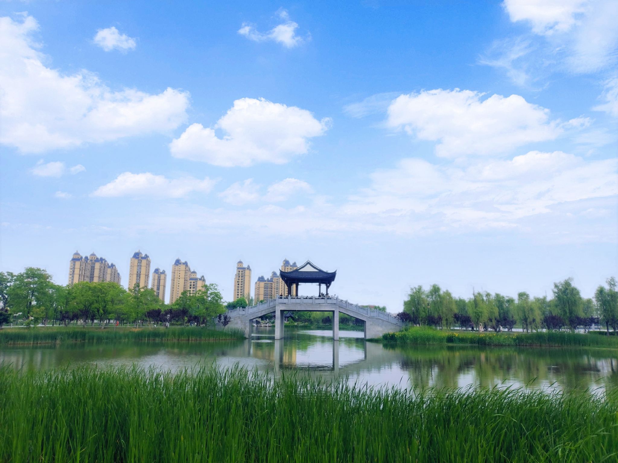 苏州公园旅行图片 1