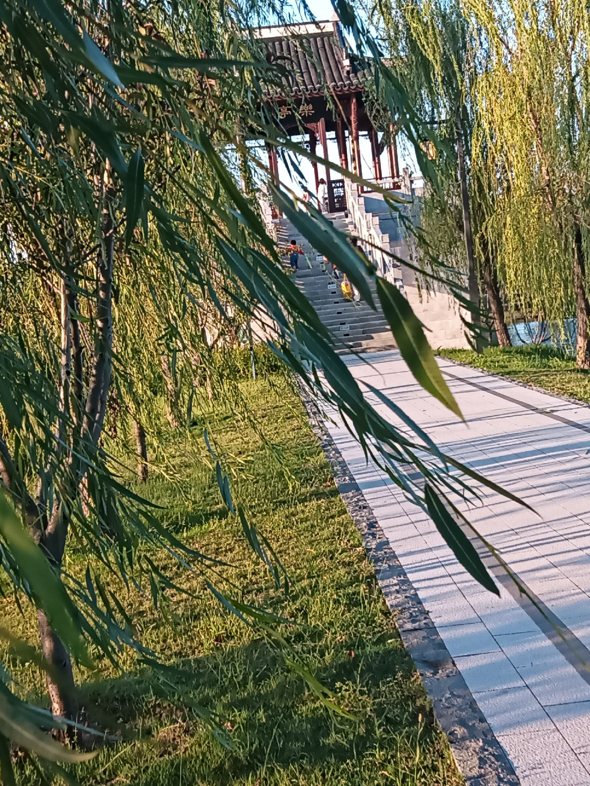 苏州公园旅行图片 2