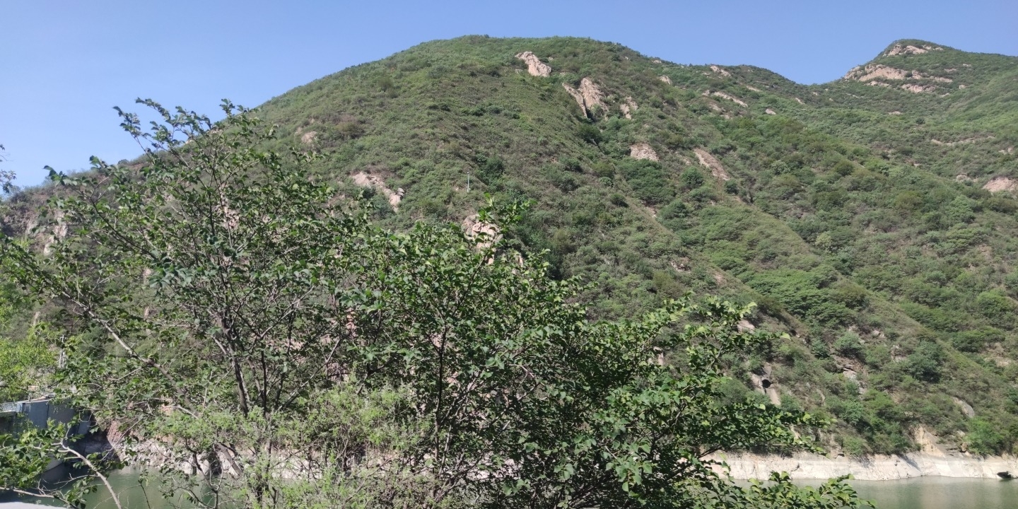 冬奥森林公园旅行图片 1
