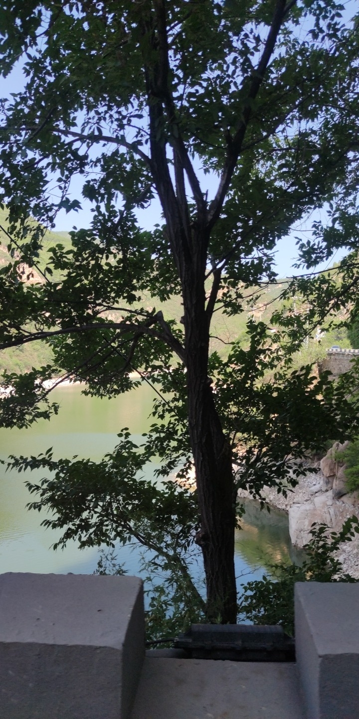 冬奥森林公园旅行图片 3