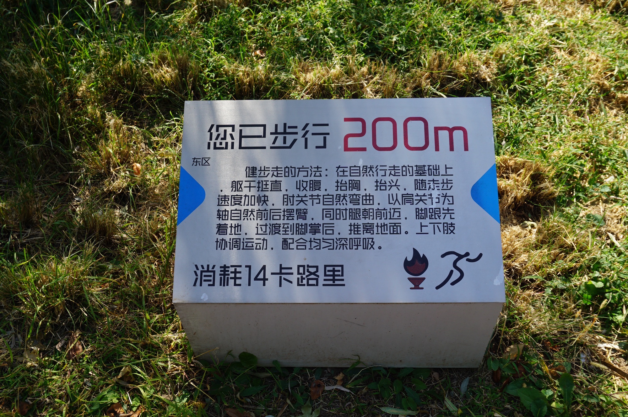 冬奥森林公园旅行图片 2