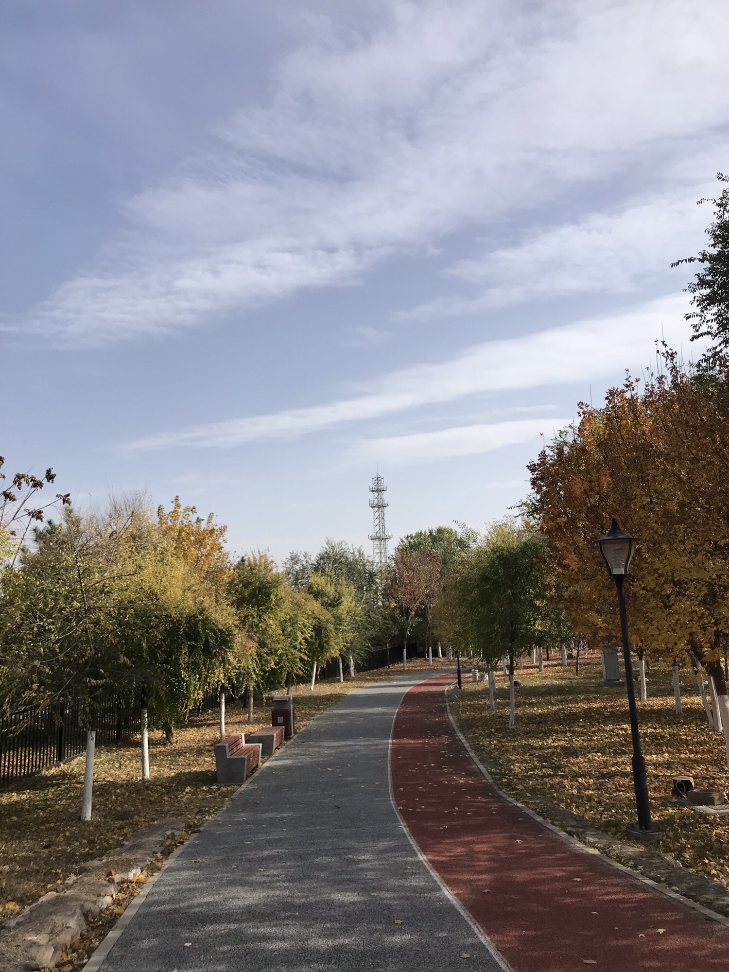 冬奥森林公园旅行图片 3