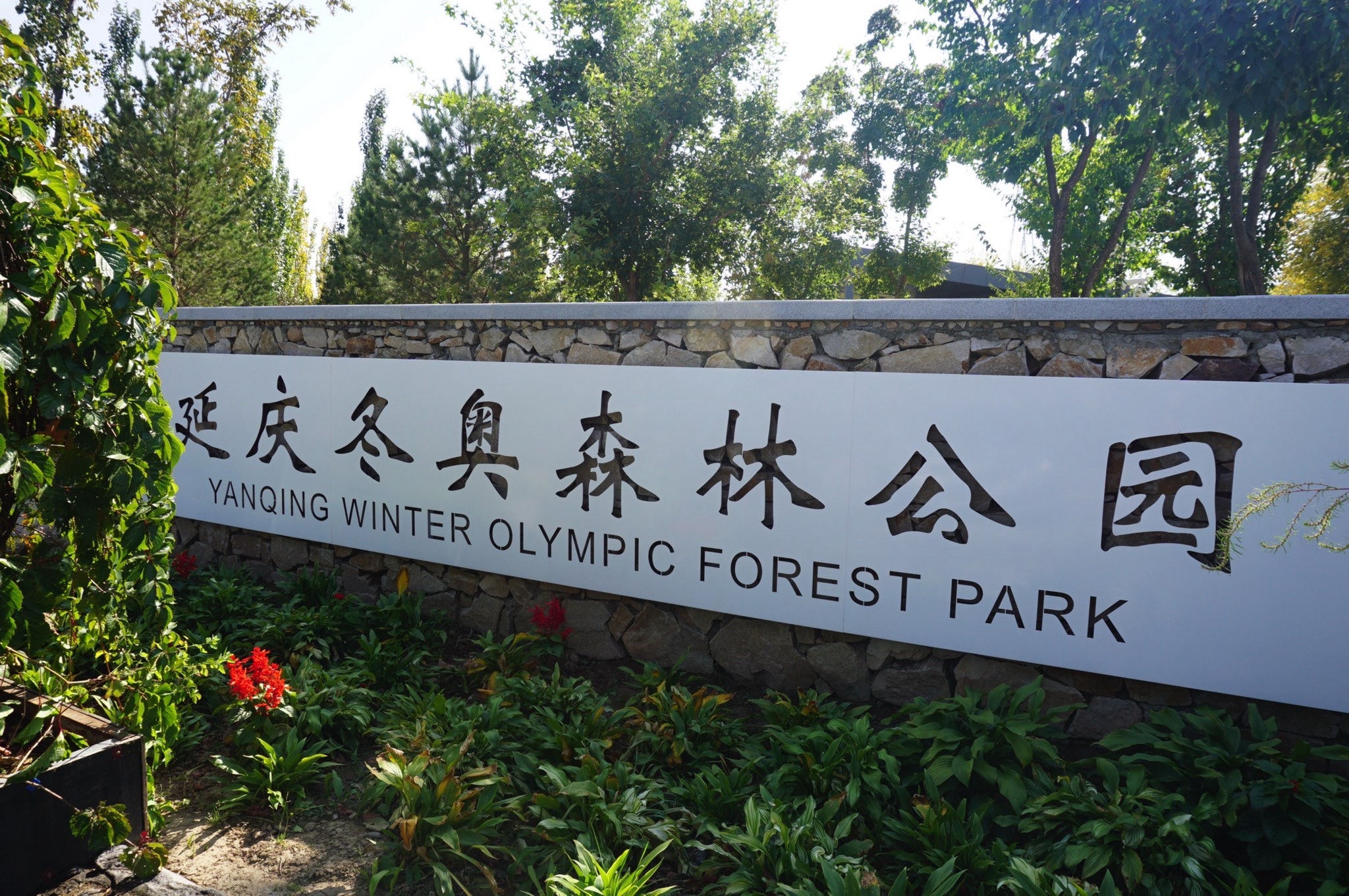 冬奥森林公园旅行图片 1
