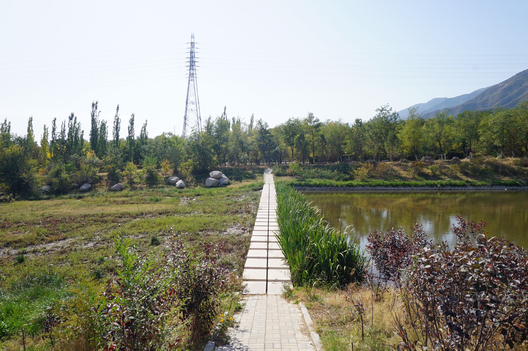 冬奥森林公园旅行图片 3