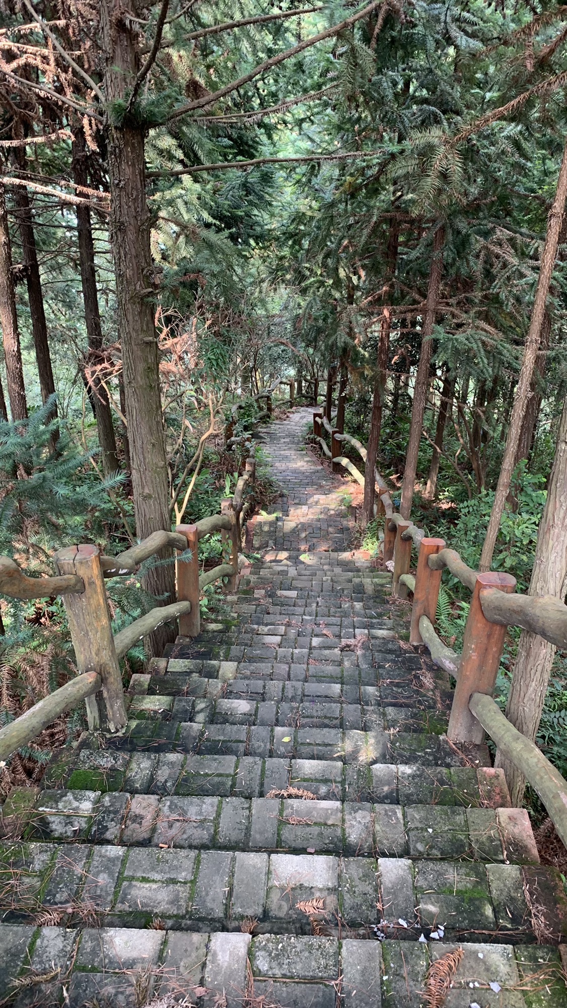 盘谷水库旅行图片 2