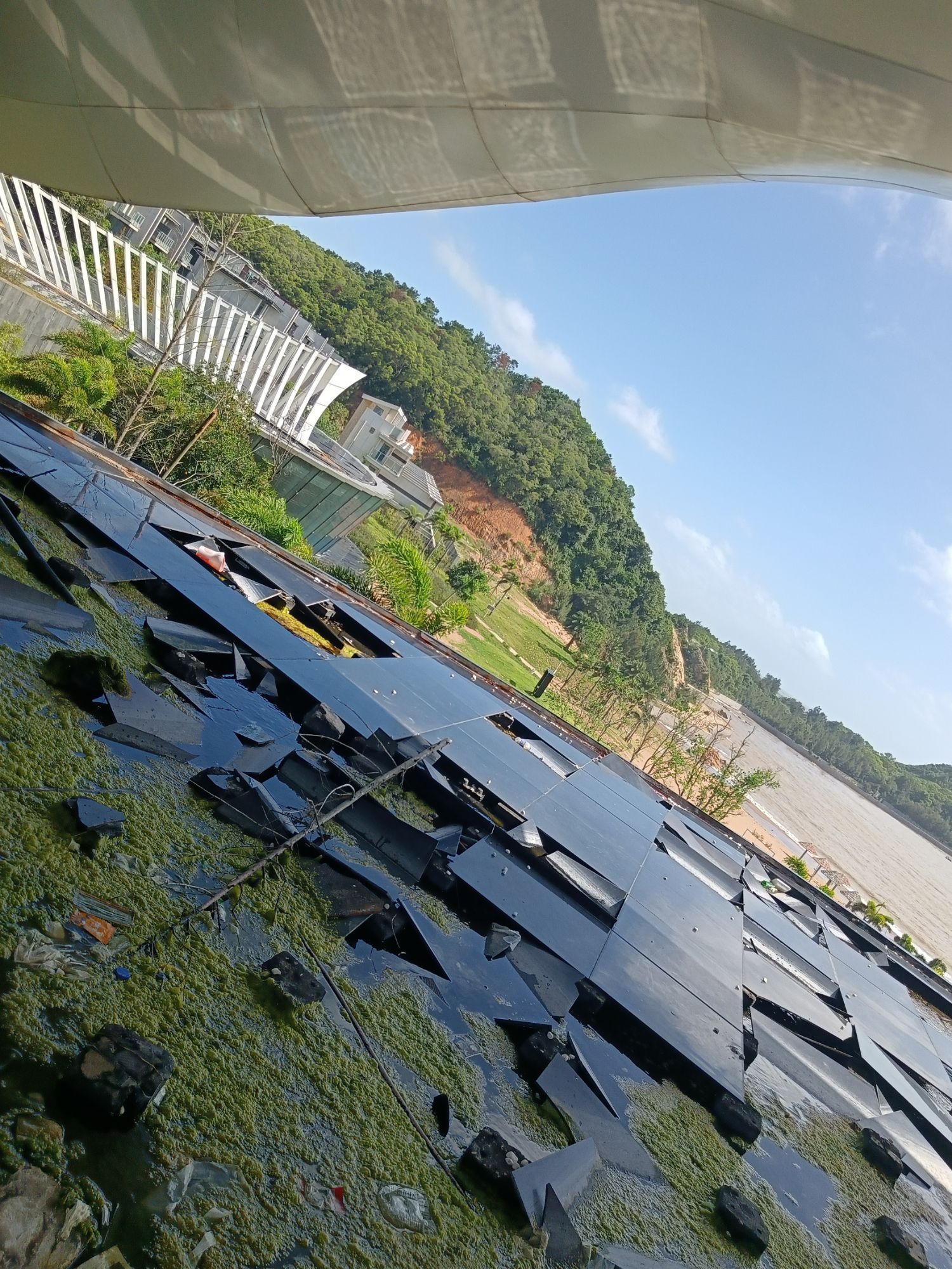世茂湾沙滩旅行图片 2