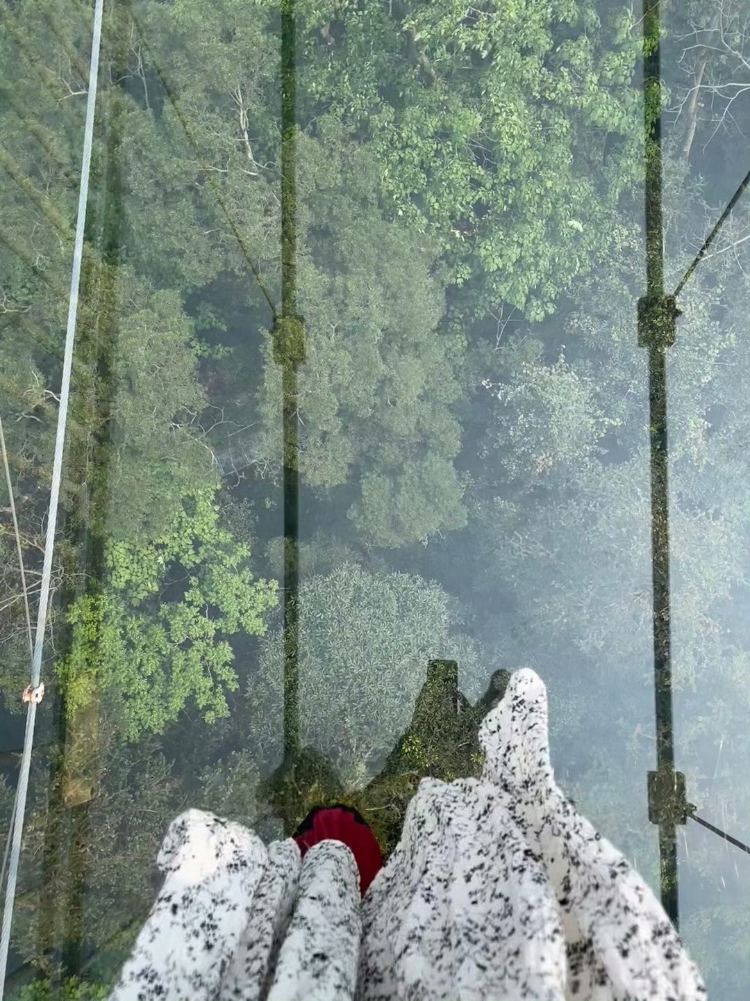 市外桃园旅游区旅行图片 3