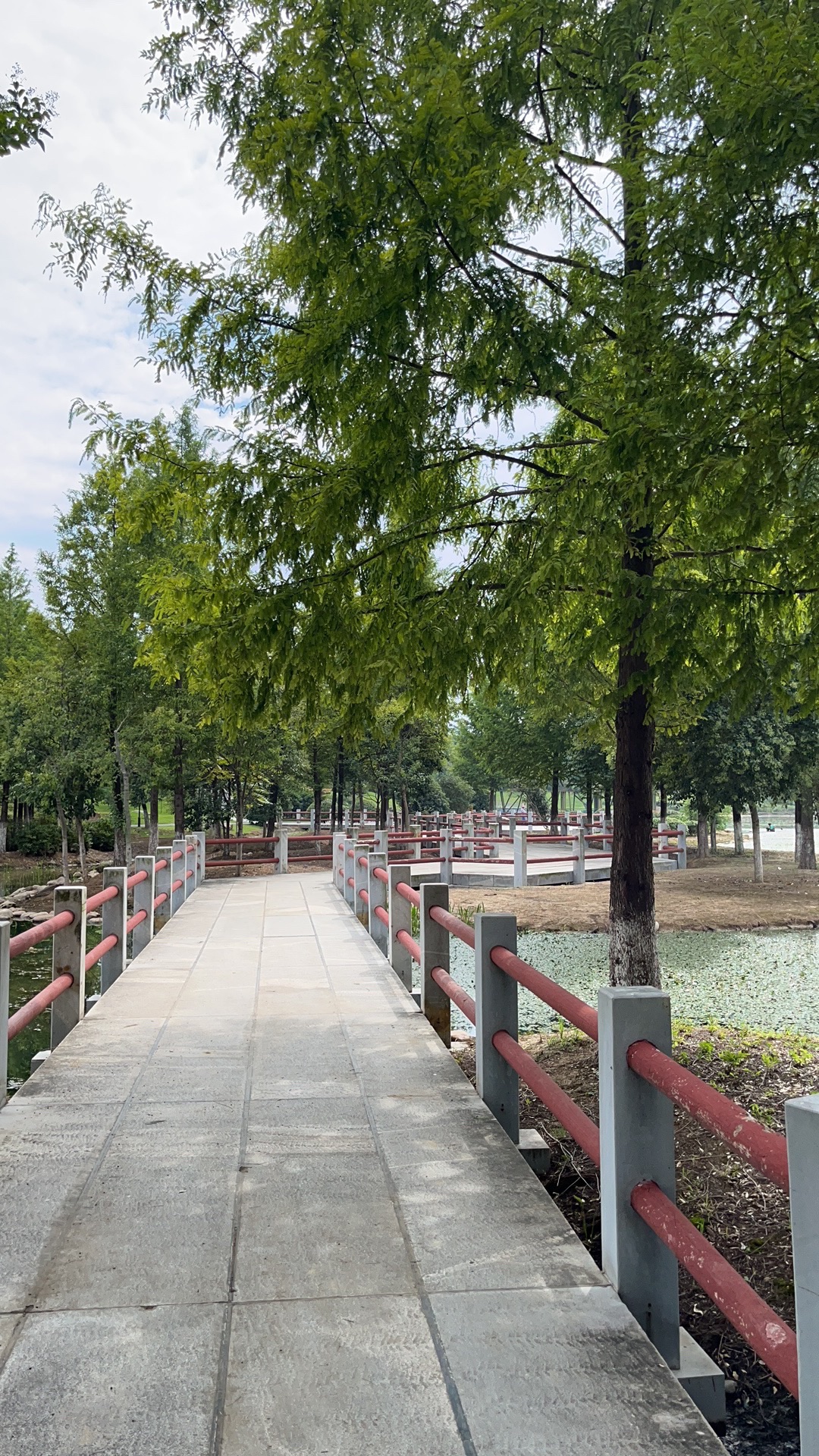 凤栖湖湿地公园旅行图片 2